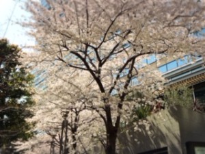 IMG_0024