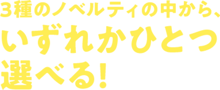 ３種のノベルティの中から、いずれかひとつ選べる！